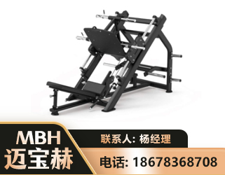 成都45°倒蹬训练器