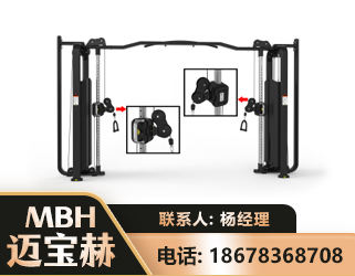 成都大飞鸟训练器