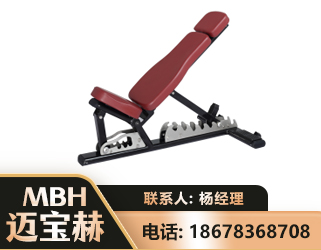 成都可调哑铃椅